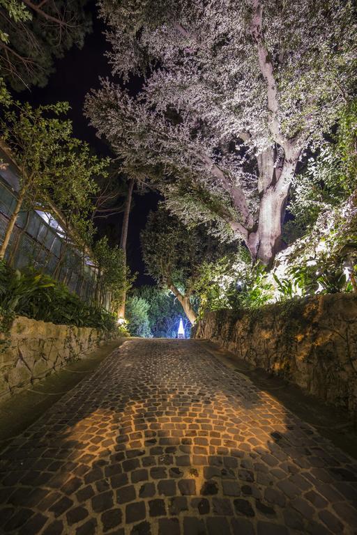 Отель La Canonica Dei Fiori - Anna Fendi Country House Рончильоне Экстерьер фото